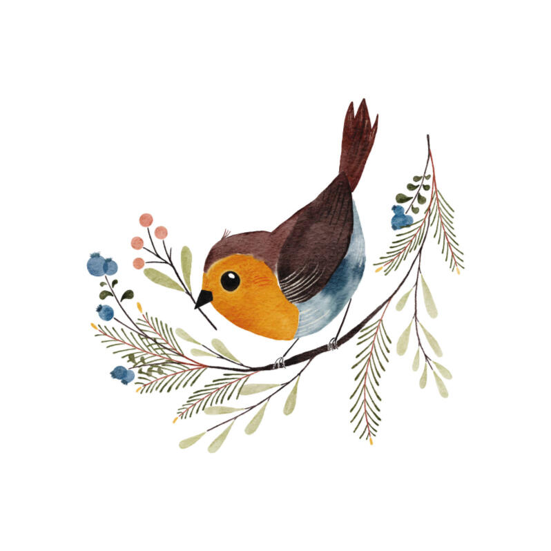 Robin Illustration