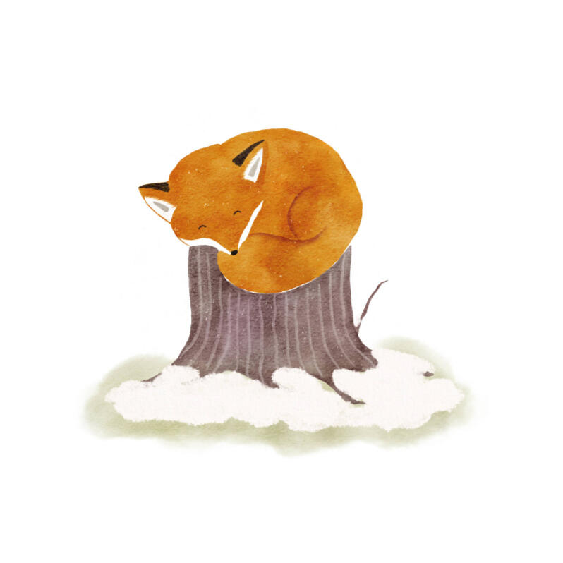 Sleeping Fox Illustration